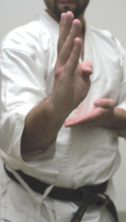 Karate 2